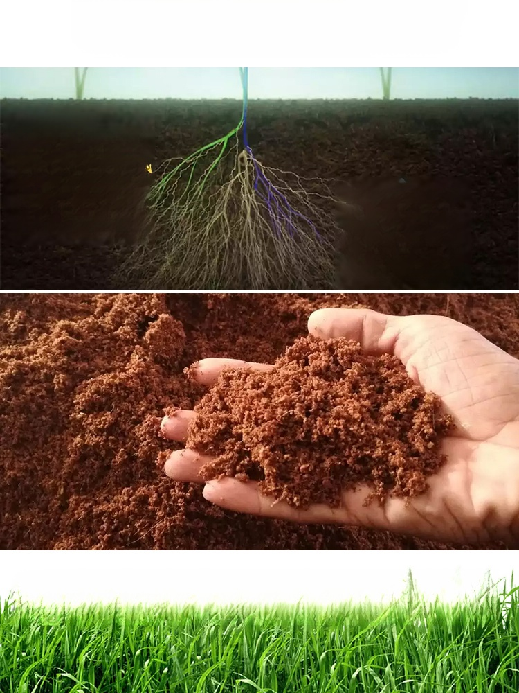 【농협 추천 2025 초강력 제초제】10분 만에 1000종 이상의 내성 잡초 박멸【1병으로 10,000㎡ 제거 가능】