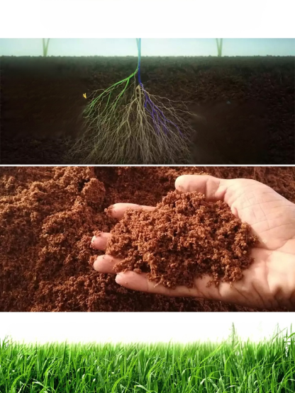 【농협 추천 2025 초강력 제초제】10분 만에 1000종 이상의 내성 잡초 박멸【1병으로 10,000㎡ 제거 가능】