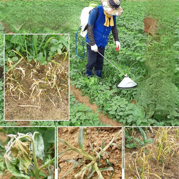 【농림축산식품부 도입 제품】 한 번에 제거, 2년 동안 새로운 잡초 없음, 지속적인 효과