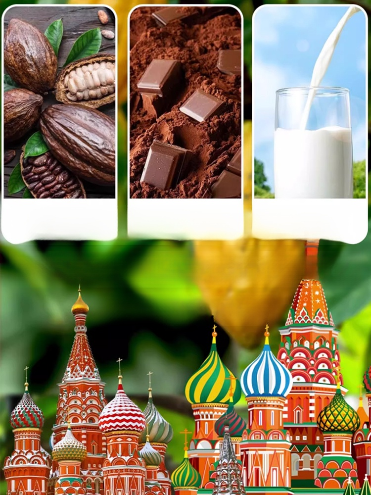 러시아 풍미 혼합 초콜릿 캔디