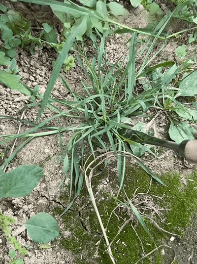 제초 도구 세트