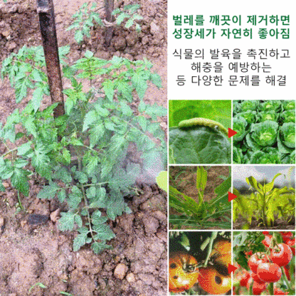 해충 적수 베타-사이플루트린 야채 과수 살충제