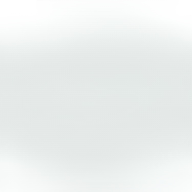 【재물운 초래】관상용 수반 연꽃