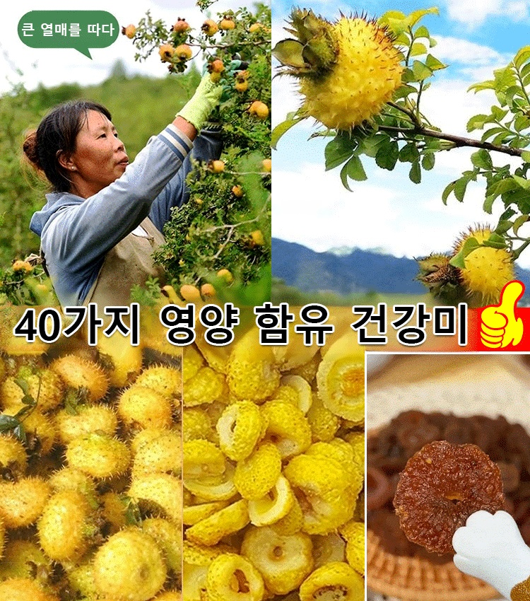[자연 0첨가, 풍부한 비타민C] 저지방 말린 자리