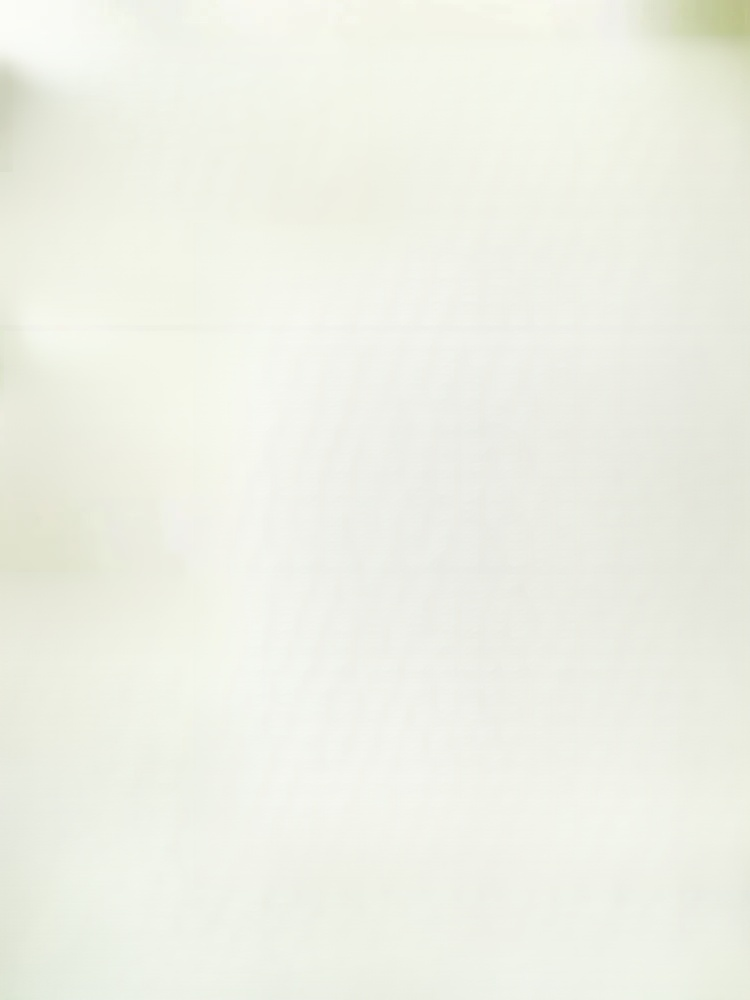 식물성 발모 생강 샴푸