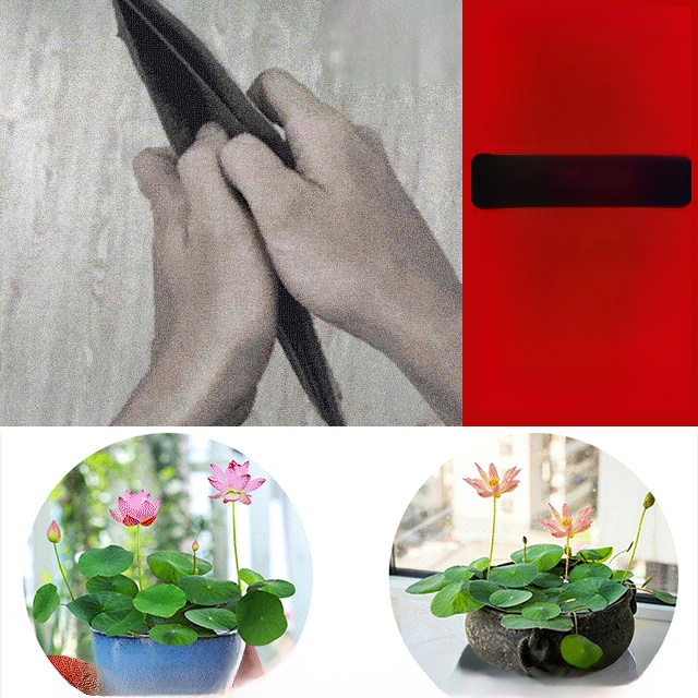 【재물운 초래】관상용 수반 연꽃