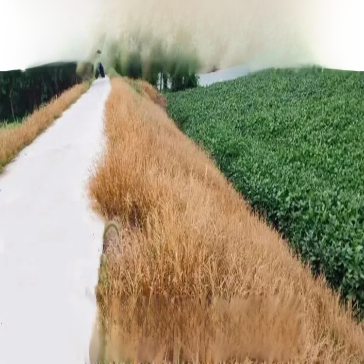 【농림축산식품부 도입 제품】 한 번에 제거, 2년 동안 새로운 잡초 없음, 지속적인 효과