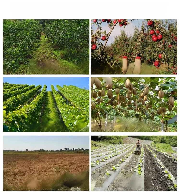 【글리포세이트 제초제】한정 세일! 25봉지 49,800원, 재고 150개 한정!