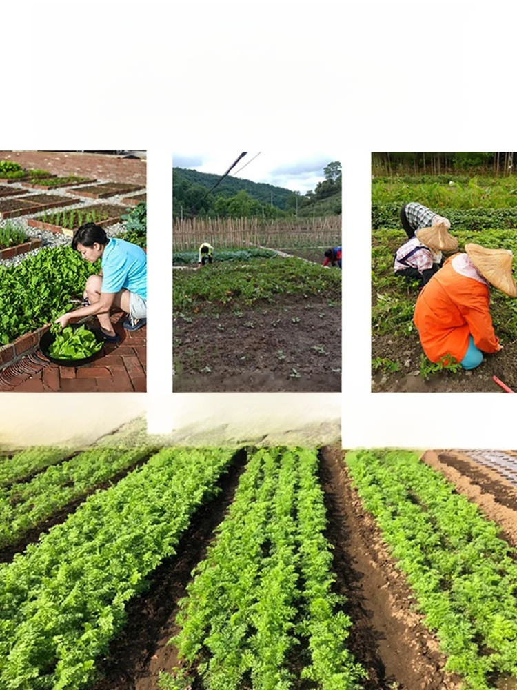 제초 도구 세트