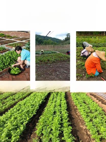 제초 도구 세트