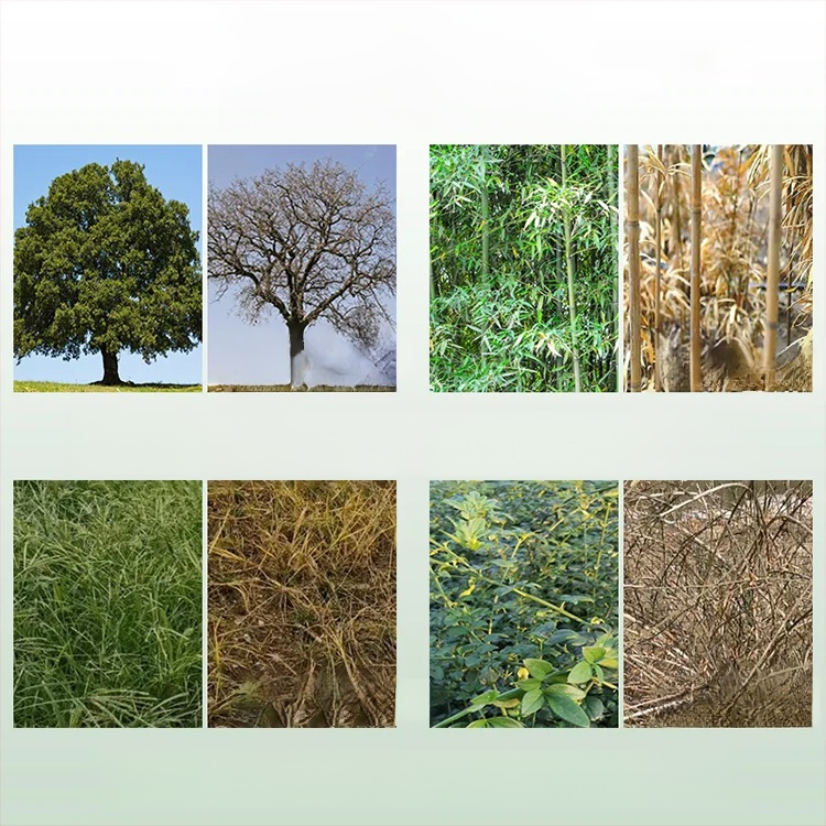 【무독성 및 토양 오염 없음】헥사지논 제초제