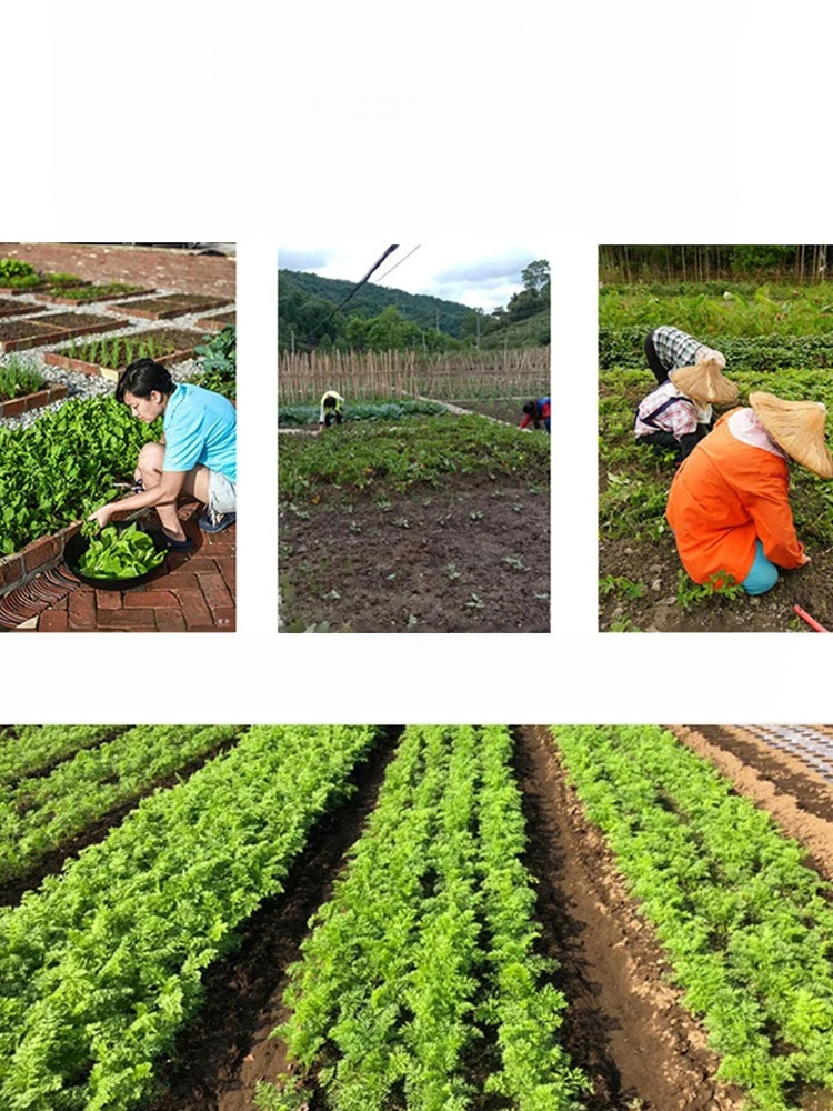 제초 도구 세트