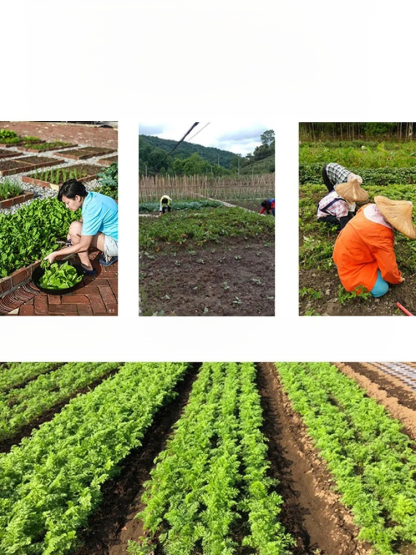 제초 도구 세트