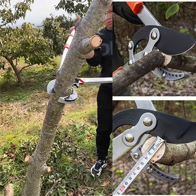 과수 전지 가위