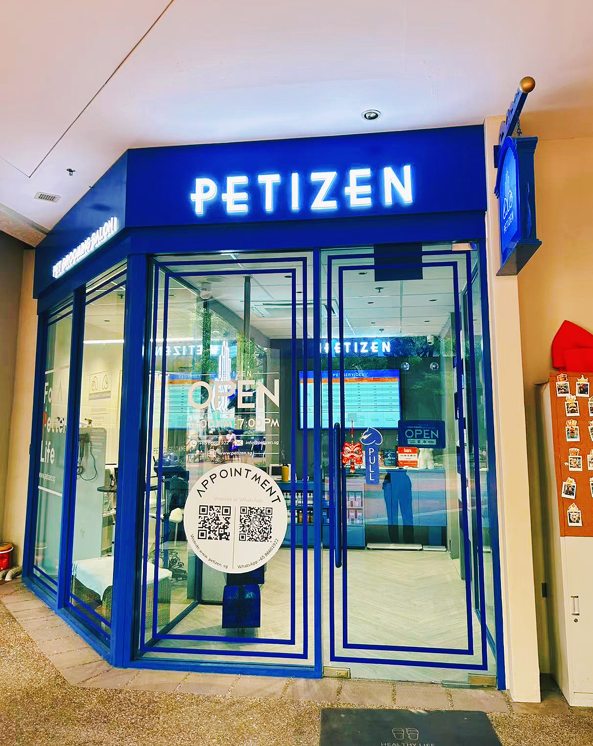 New Cat Grooming Haven in Singapore: Petizen Opens in Robertson Quay!-Petizen