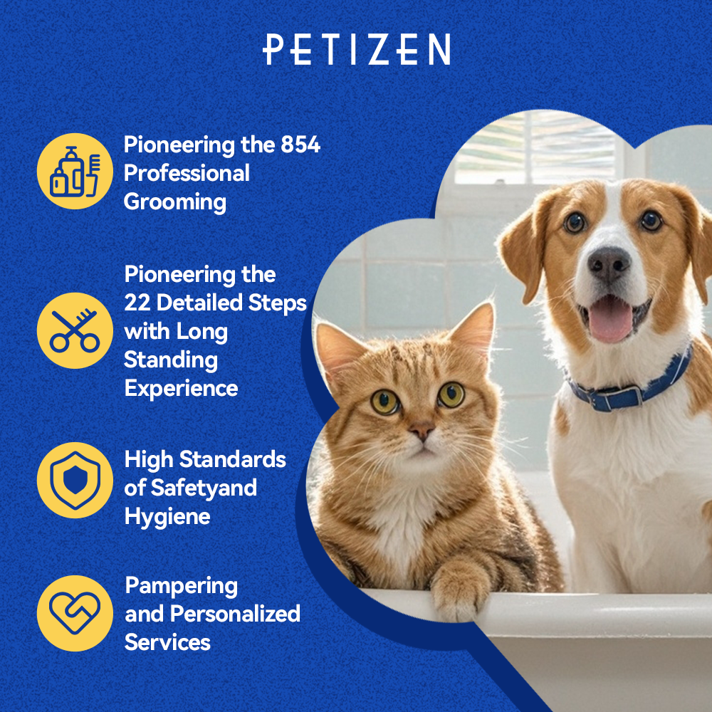 【Appointment】Petizen Service-Pet Groomer-Dog Baths, Haircuts, Dog grooming,Cat grooming ,Pet Bathing & Pet Grooming Services for Cats & Dogs Pet grooming store in Singapore Pet Shop Pet Store-Petizen