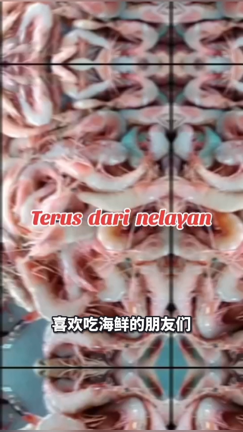 Lala Kepah Fresh Makanan Laut 啦啦  (500gm/pk)