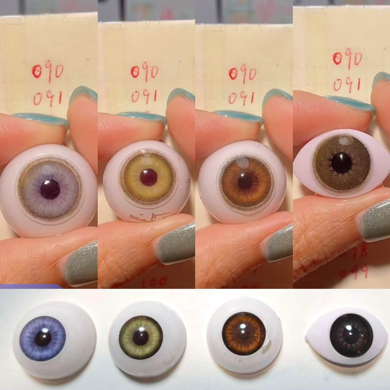 Rainbow Bassia Brown（091）| 1 Year [Prescription]