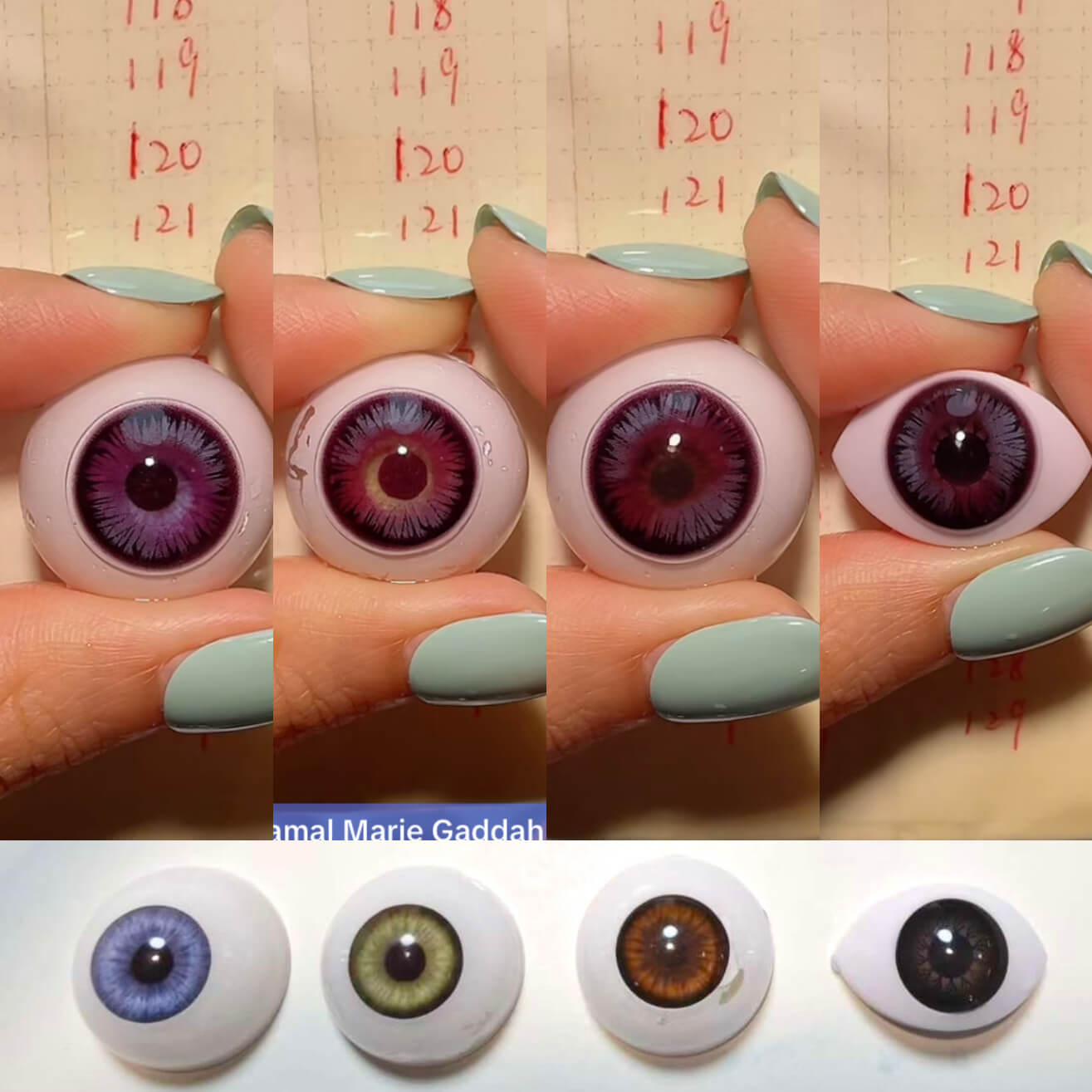 Enchantress Purple （121） | 1 Year