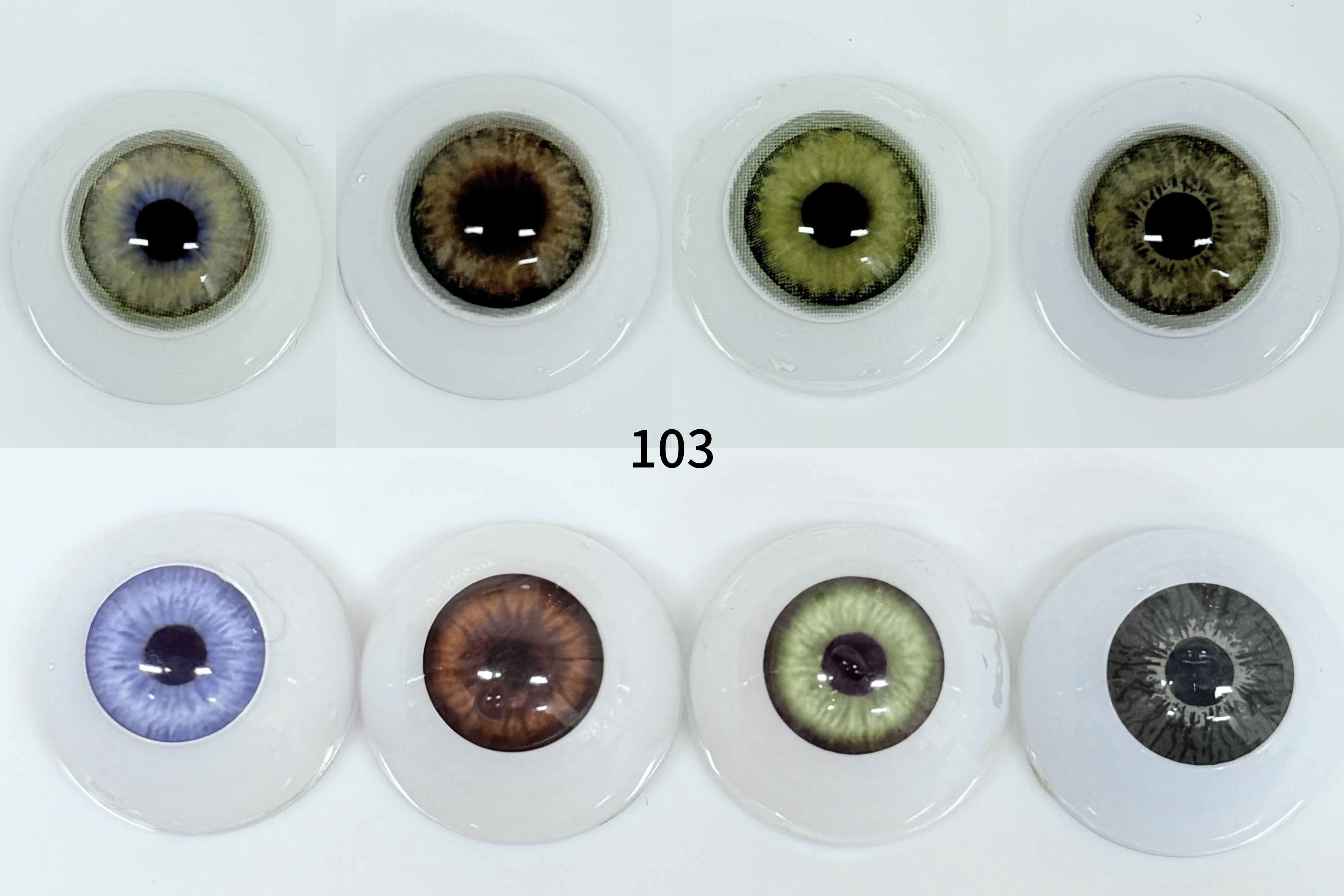 Himalaya Brown（103）| 1 Year