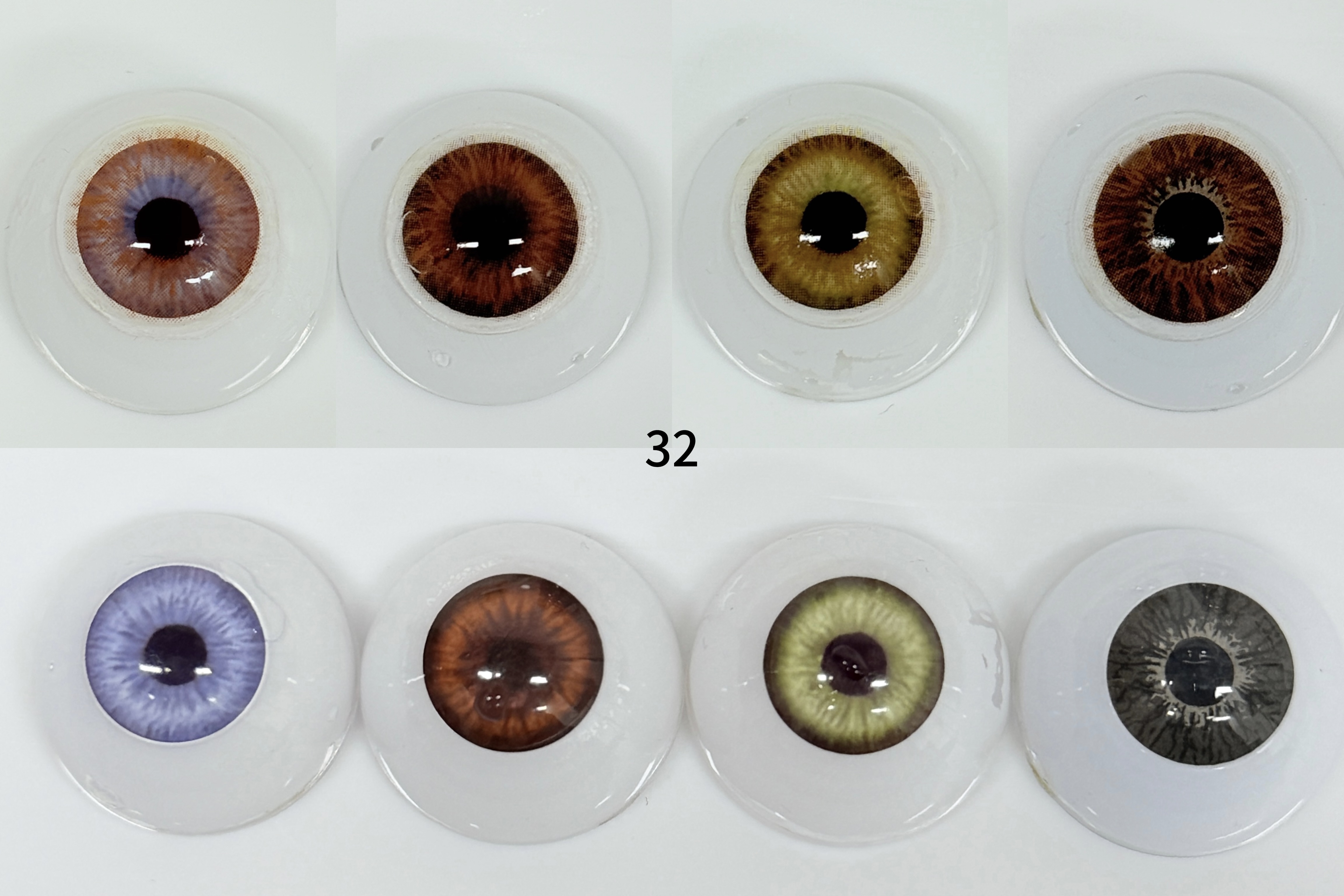 Rococo Adoration Brown[32] | 1 Year