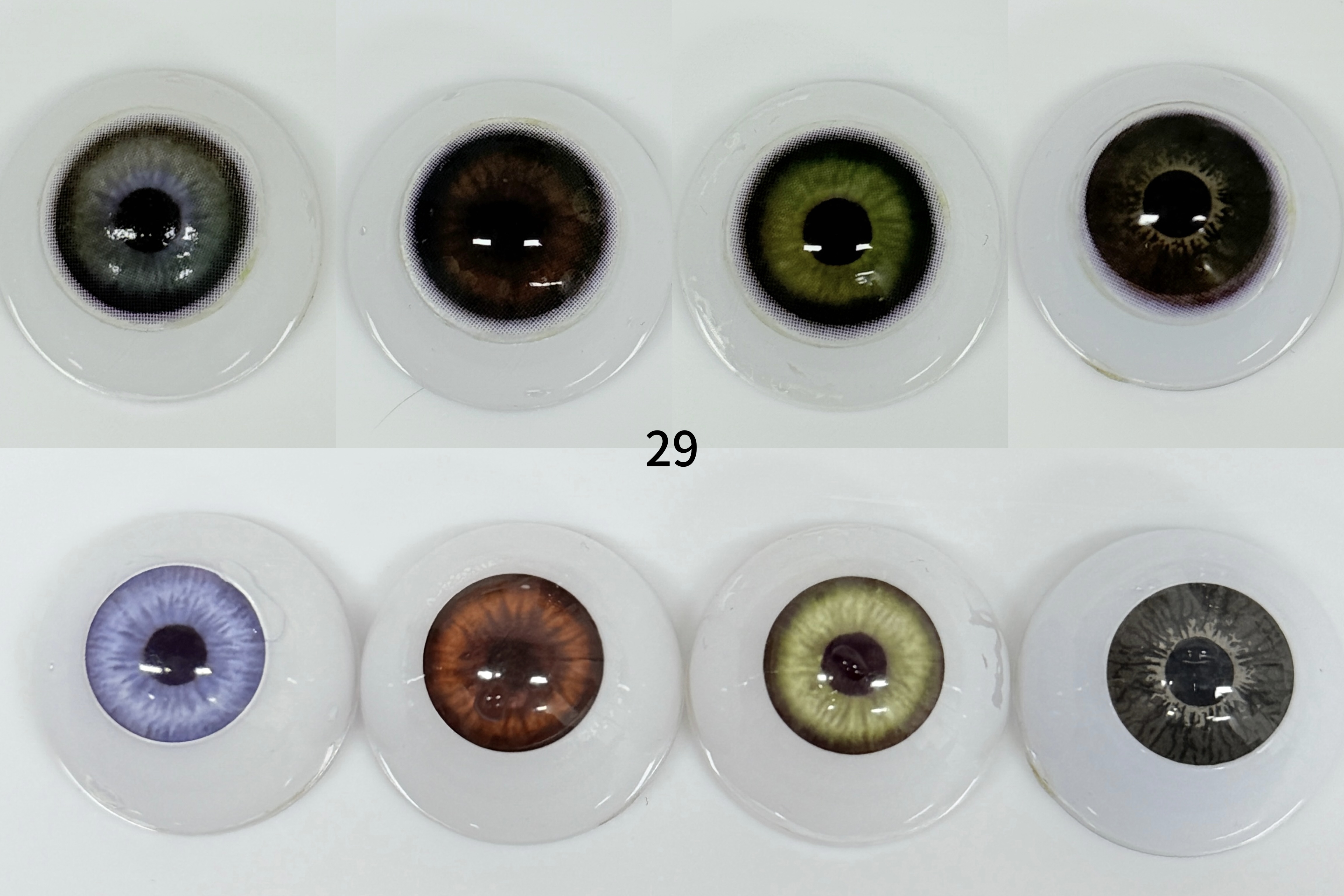 Hawaii Purple(29) | 1 Year