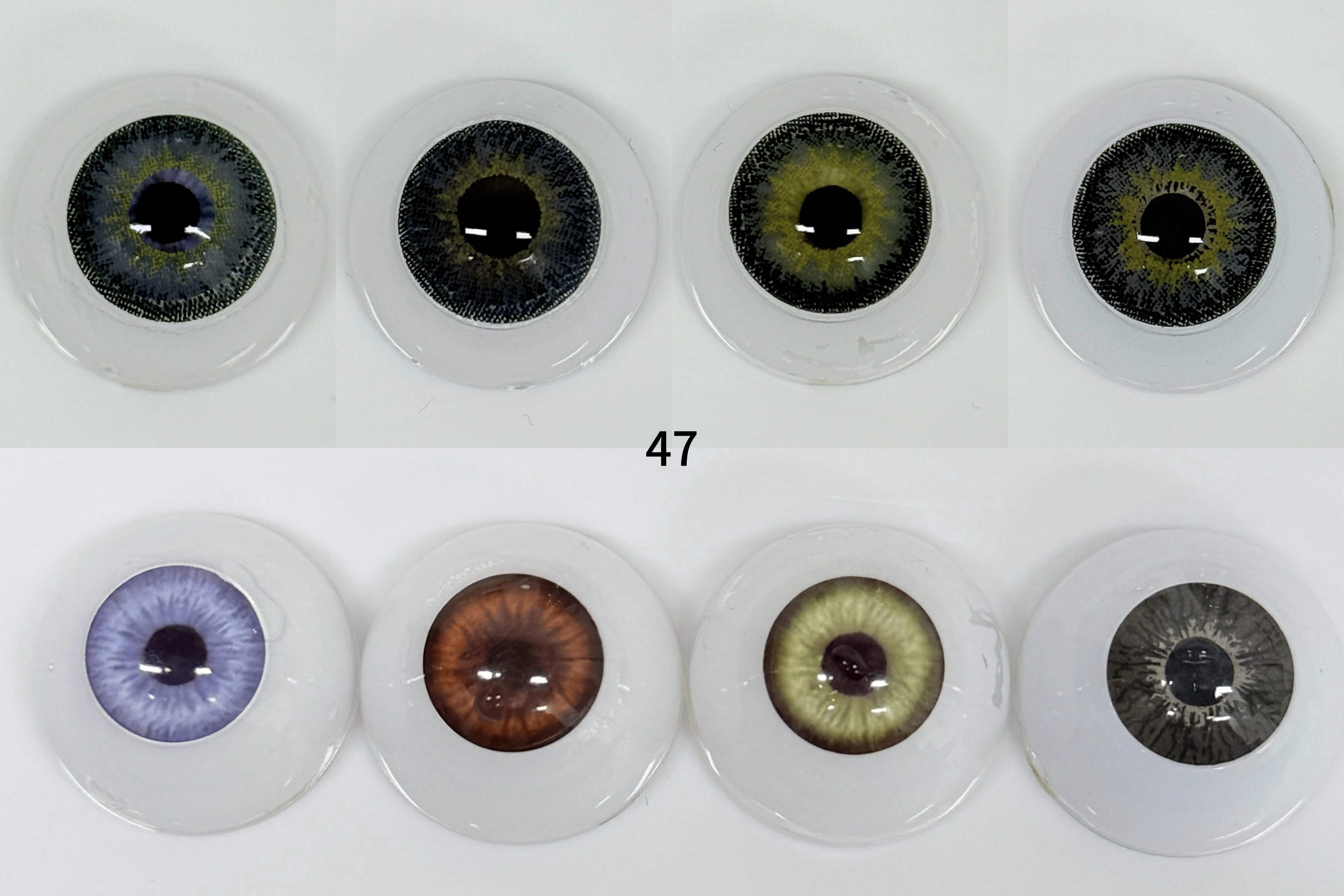 ICE SNOW Gray(47)| 1 Year