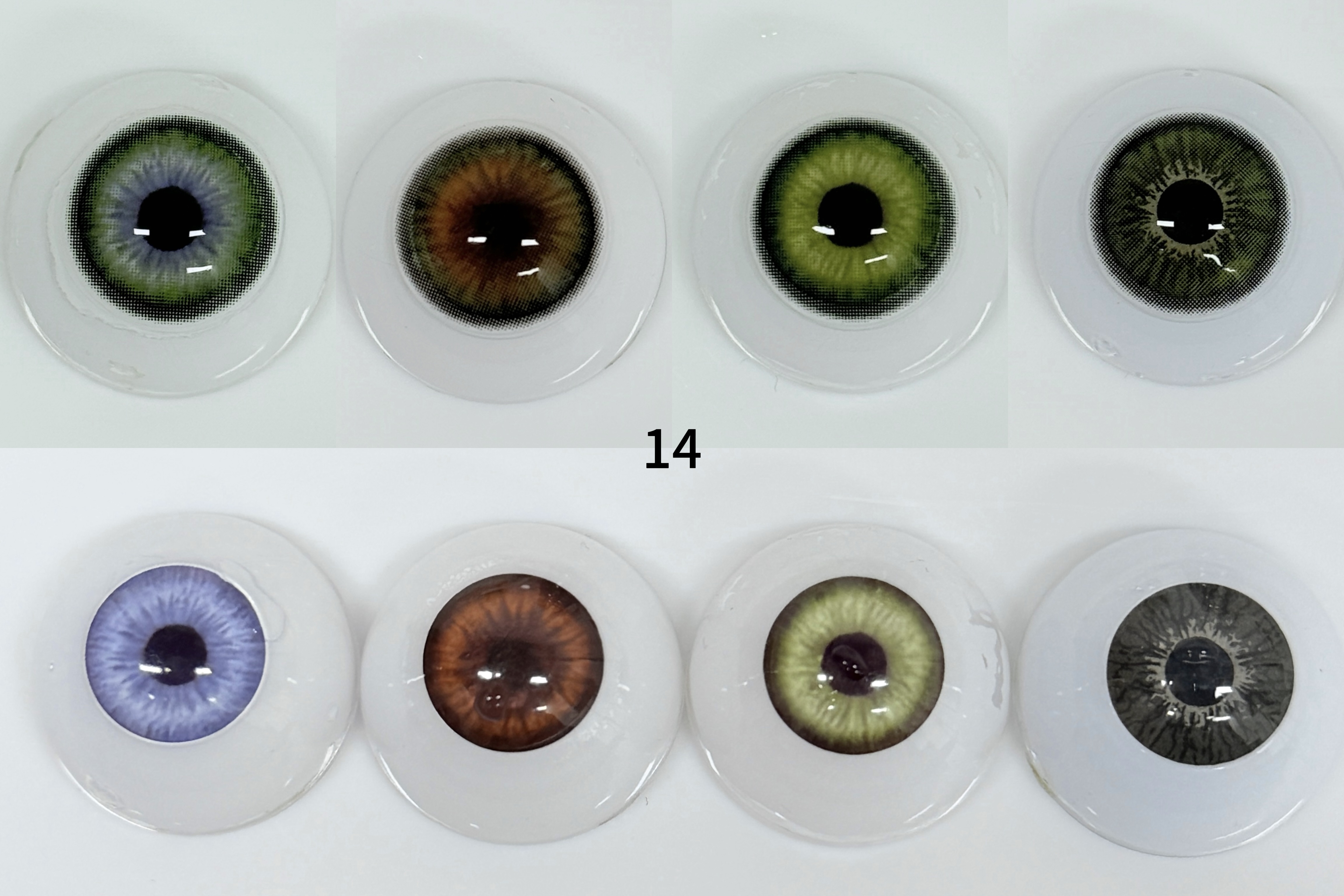 Norko/Dawn Green（14） | 1 Year [Prescription]