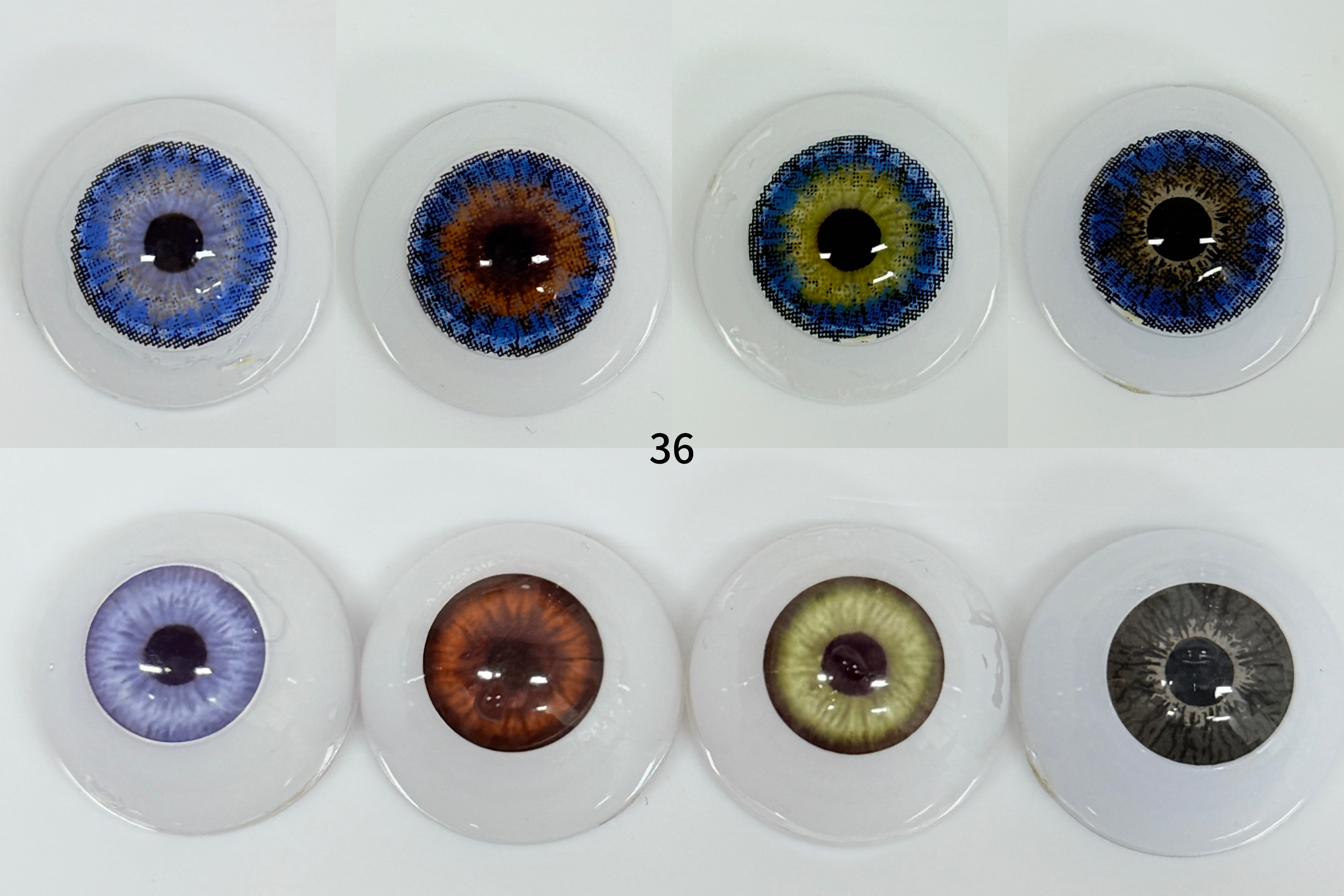 Three Tone Blue （36）| 1 Year