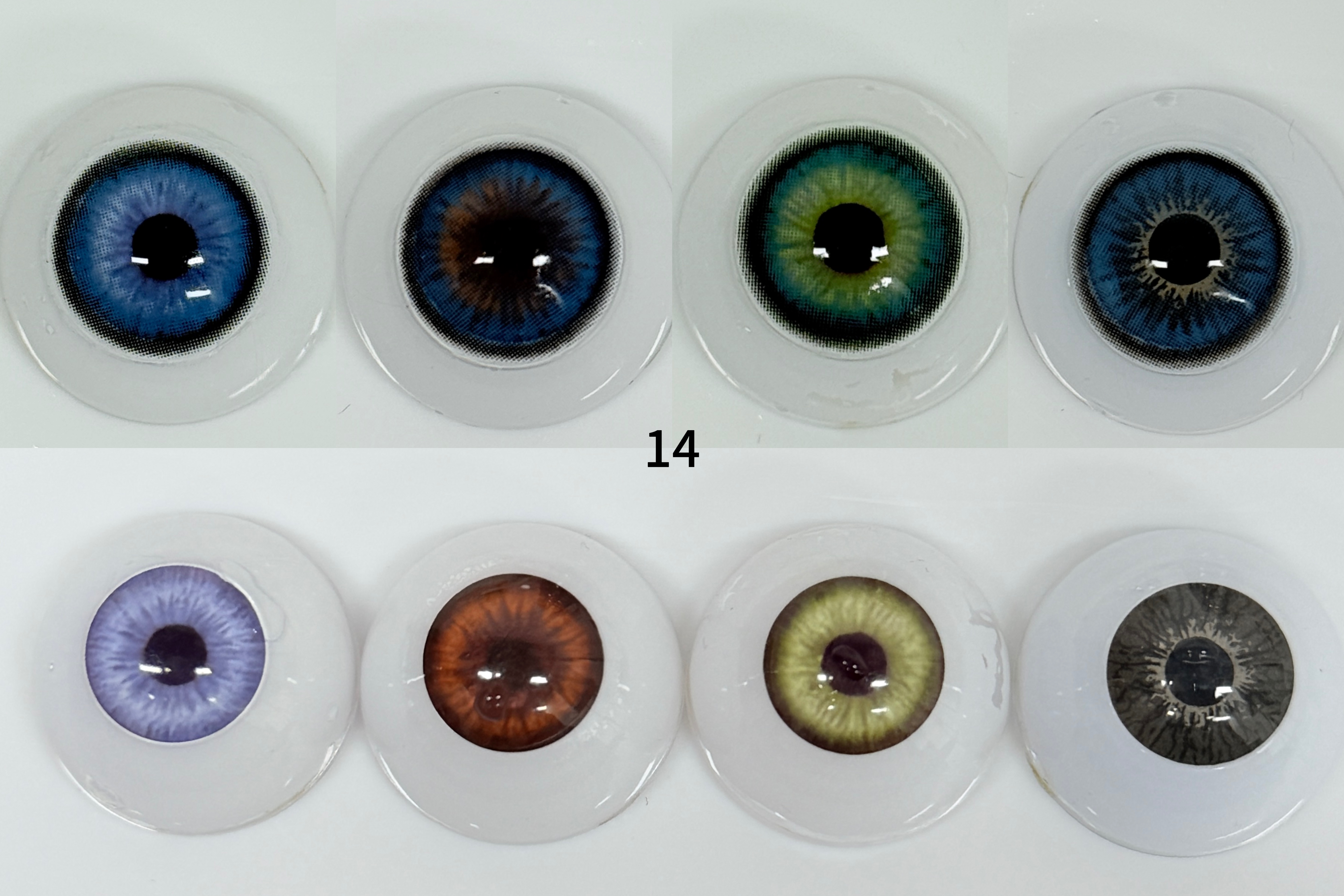 Norko/Dawn Blue（14） | 1 Year