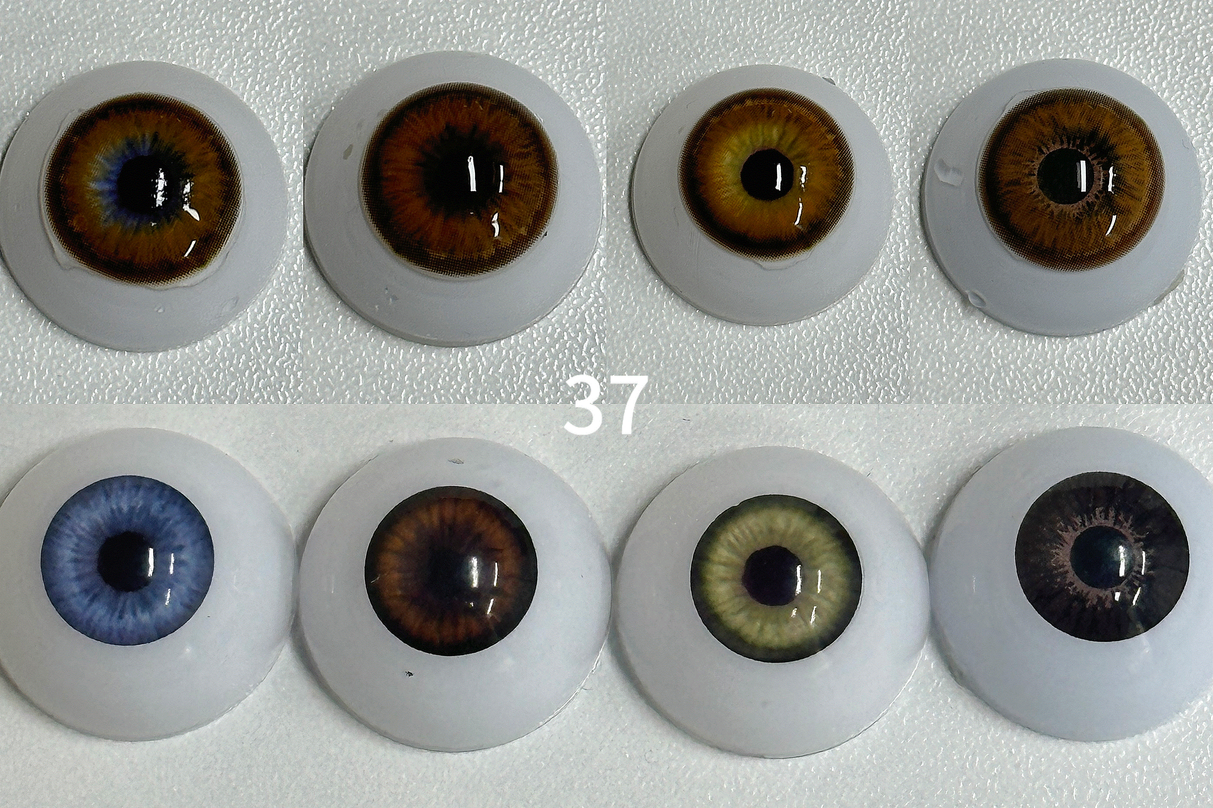 Magic POP Brown(37)| 1 Year