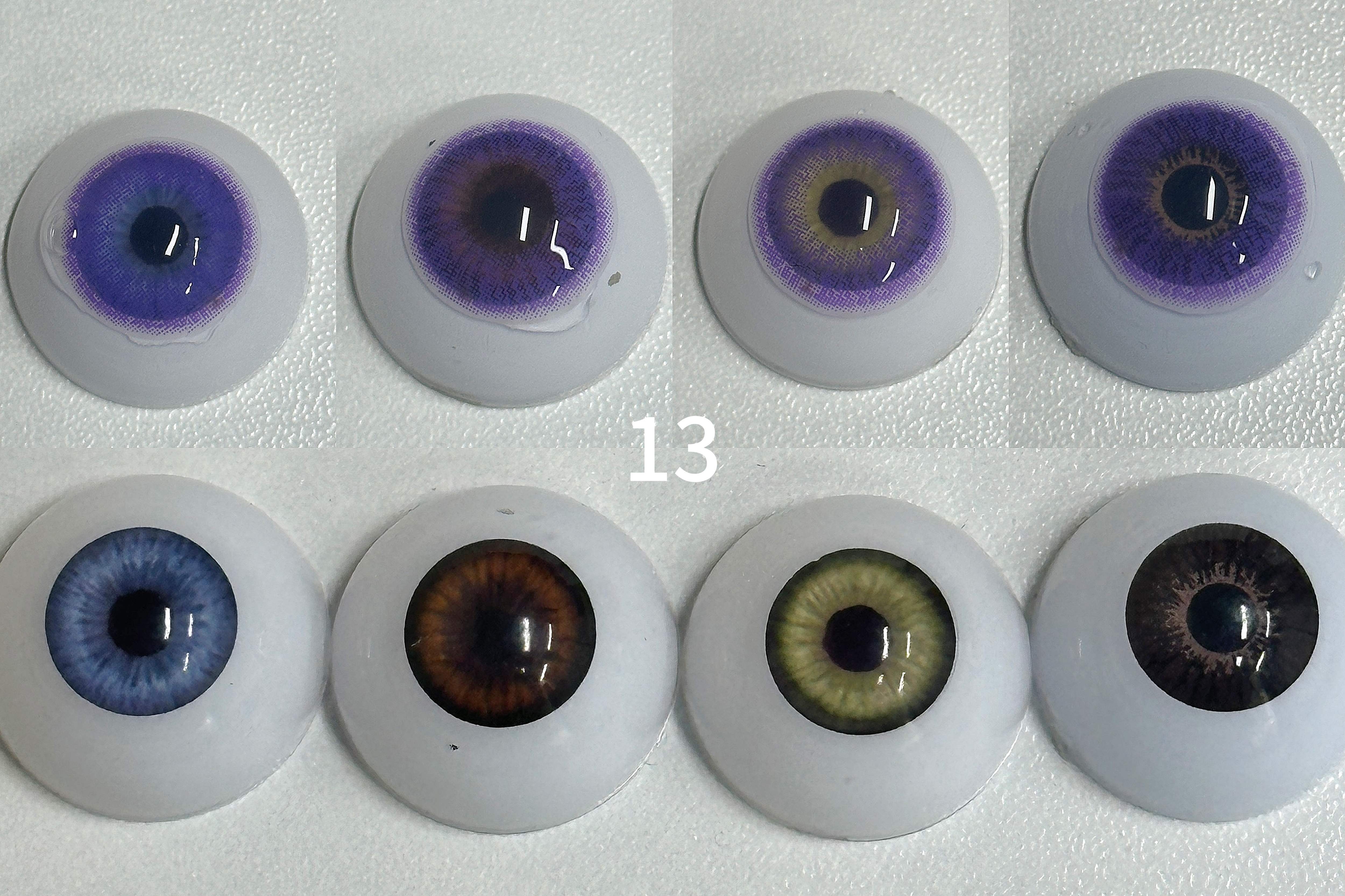 Lee Bible Purple{13} | 1 Year