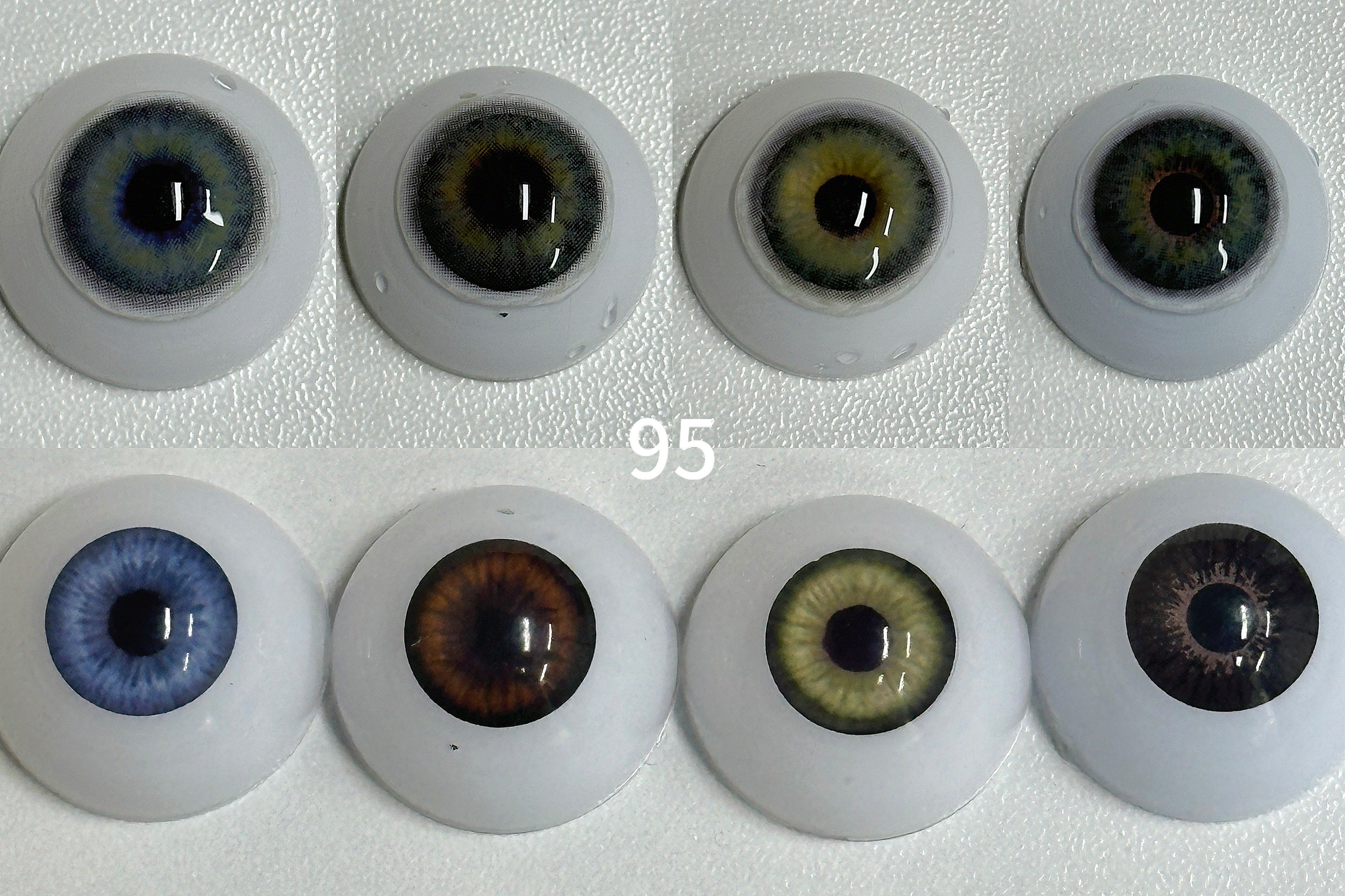 DNA Taylor Blue Gray(95)| 1 Year