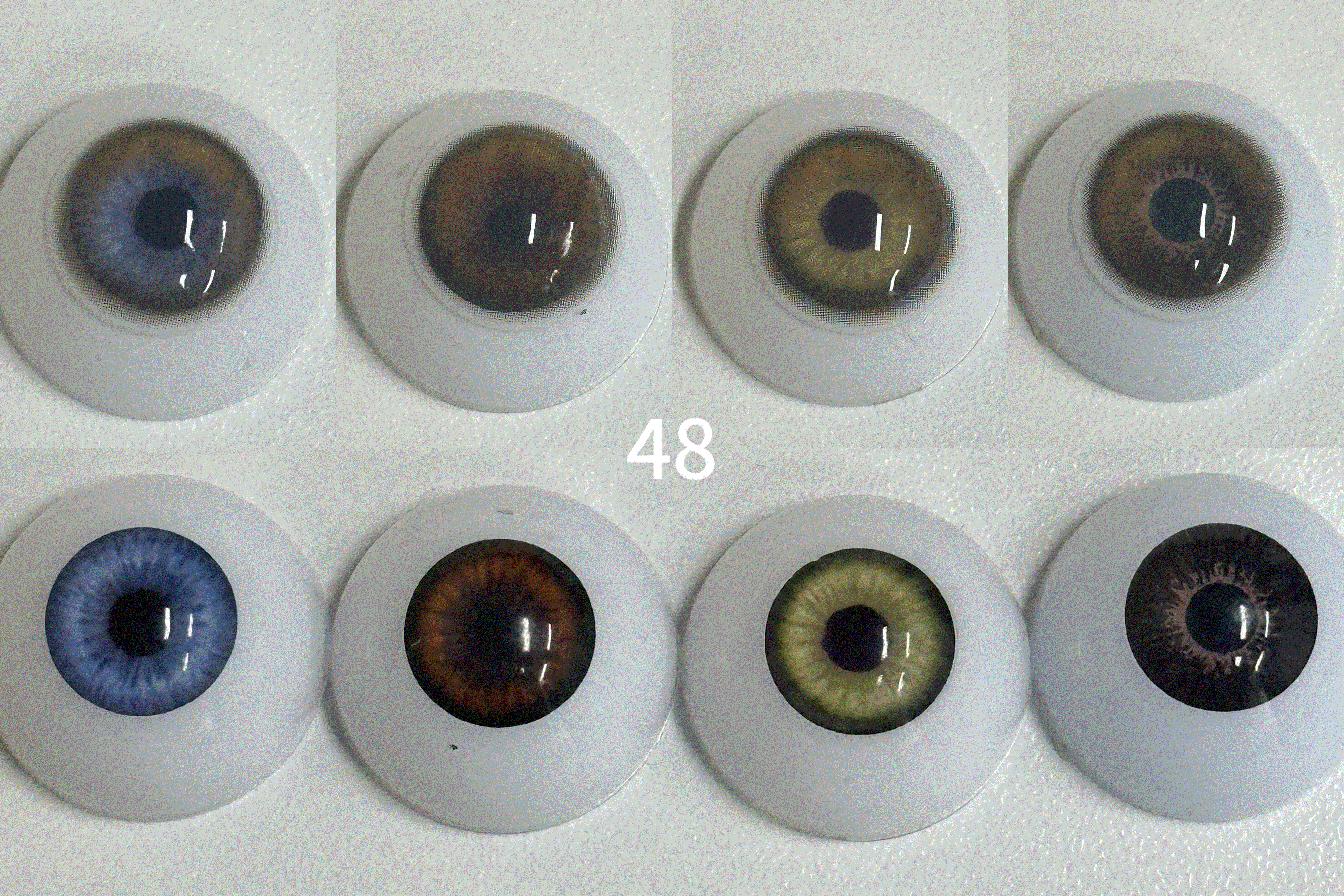 [New] Miracle Night Skylark Dream（48） | 1 Year