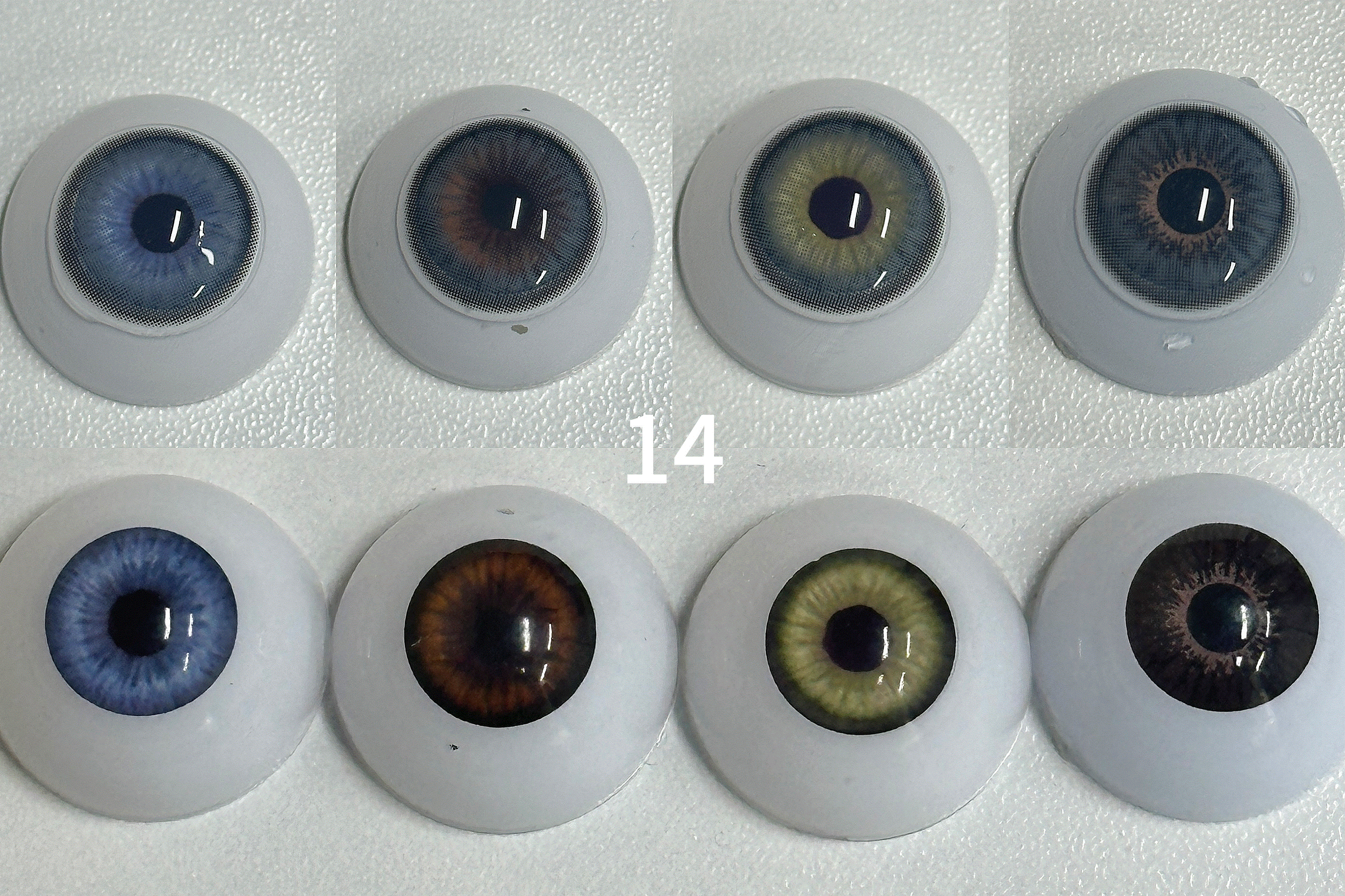 Norko/Dawn Gray（14） | 1 Year