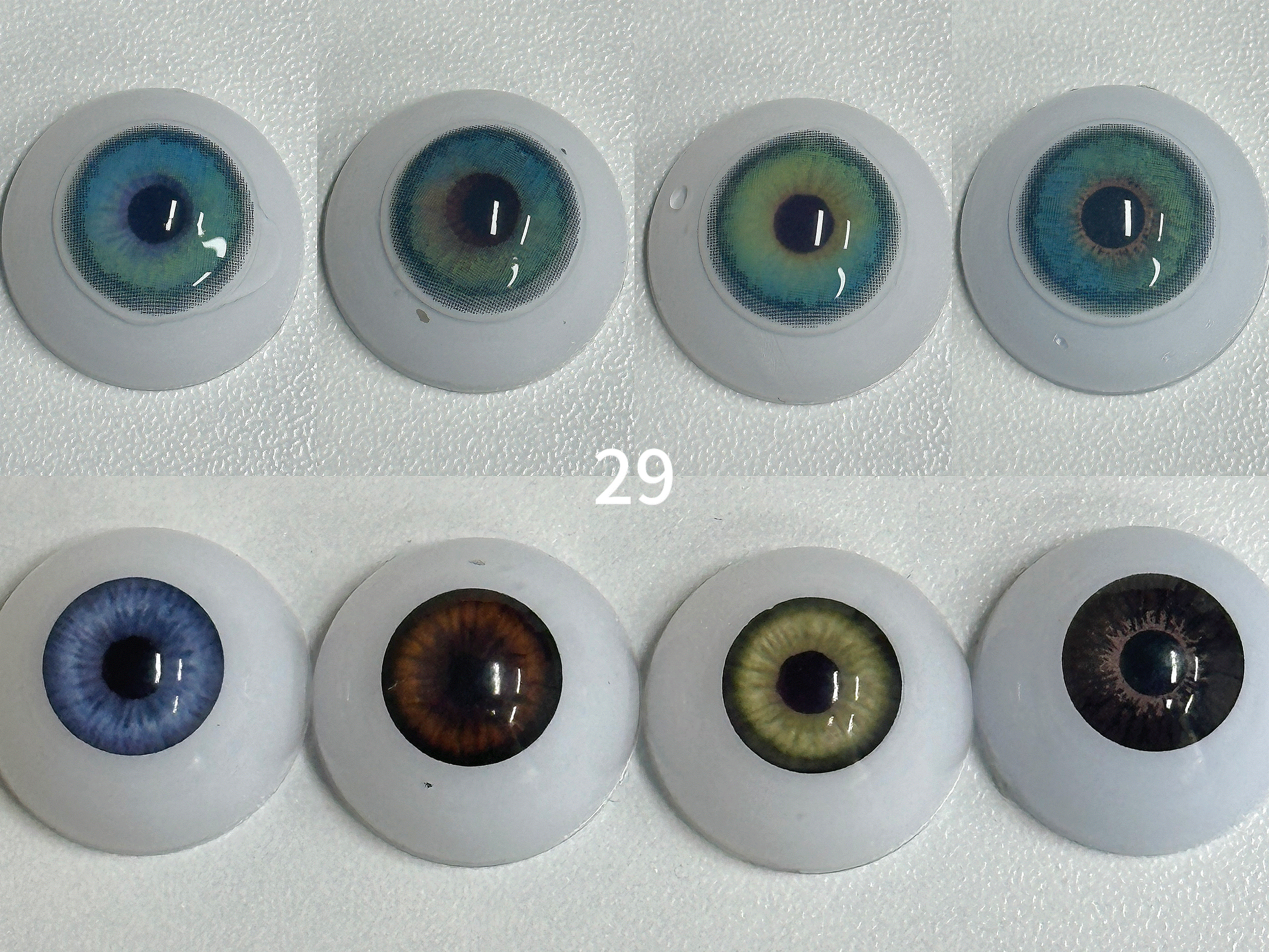 Hawaii Blue(29) | 1 Year