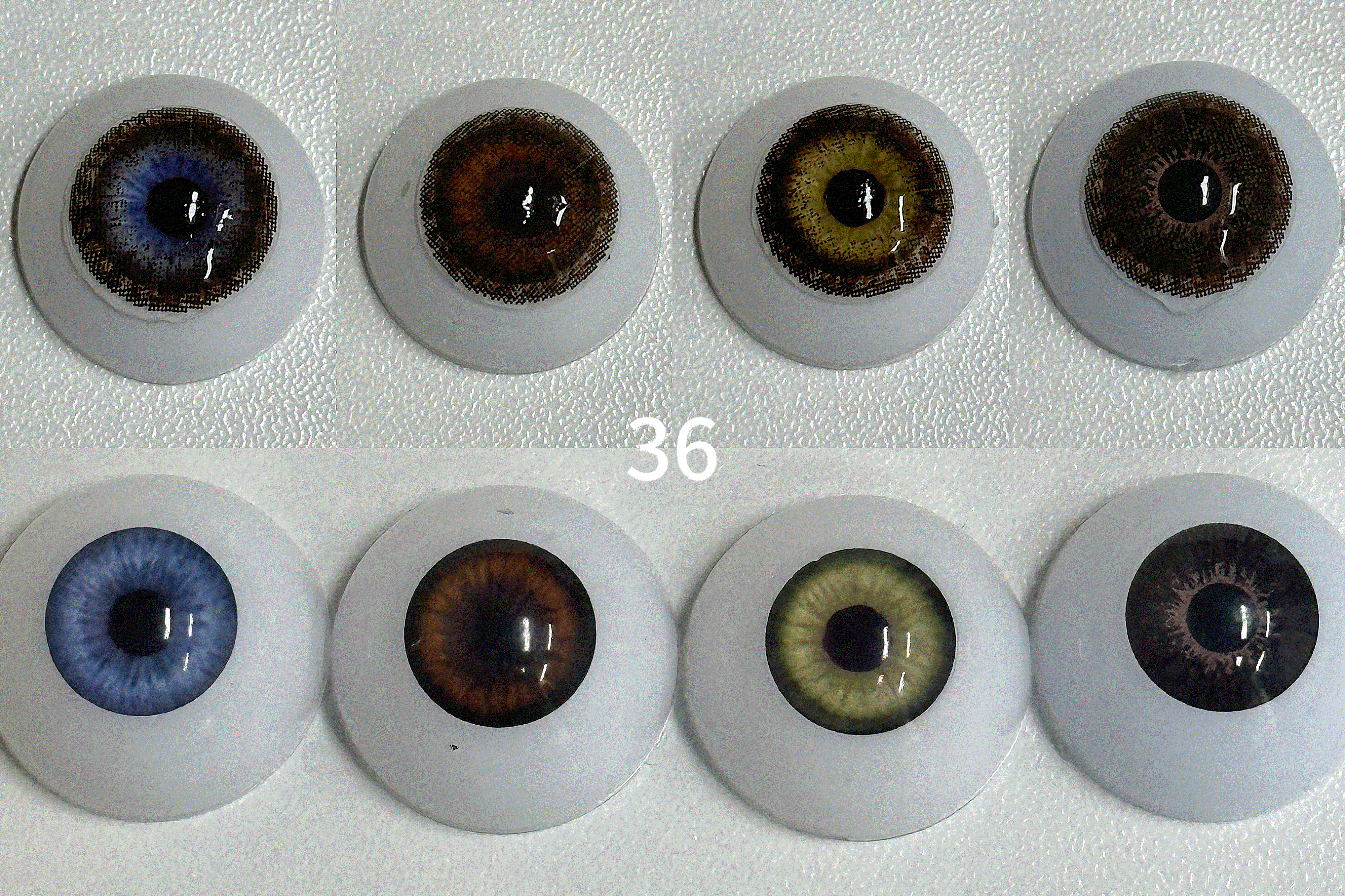 Three Tone Brown（36） | 1 Year