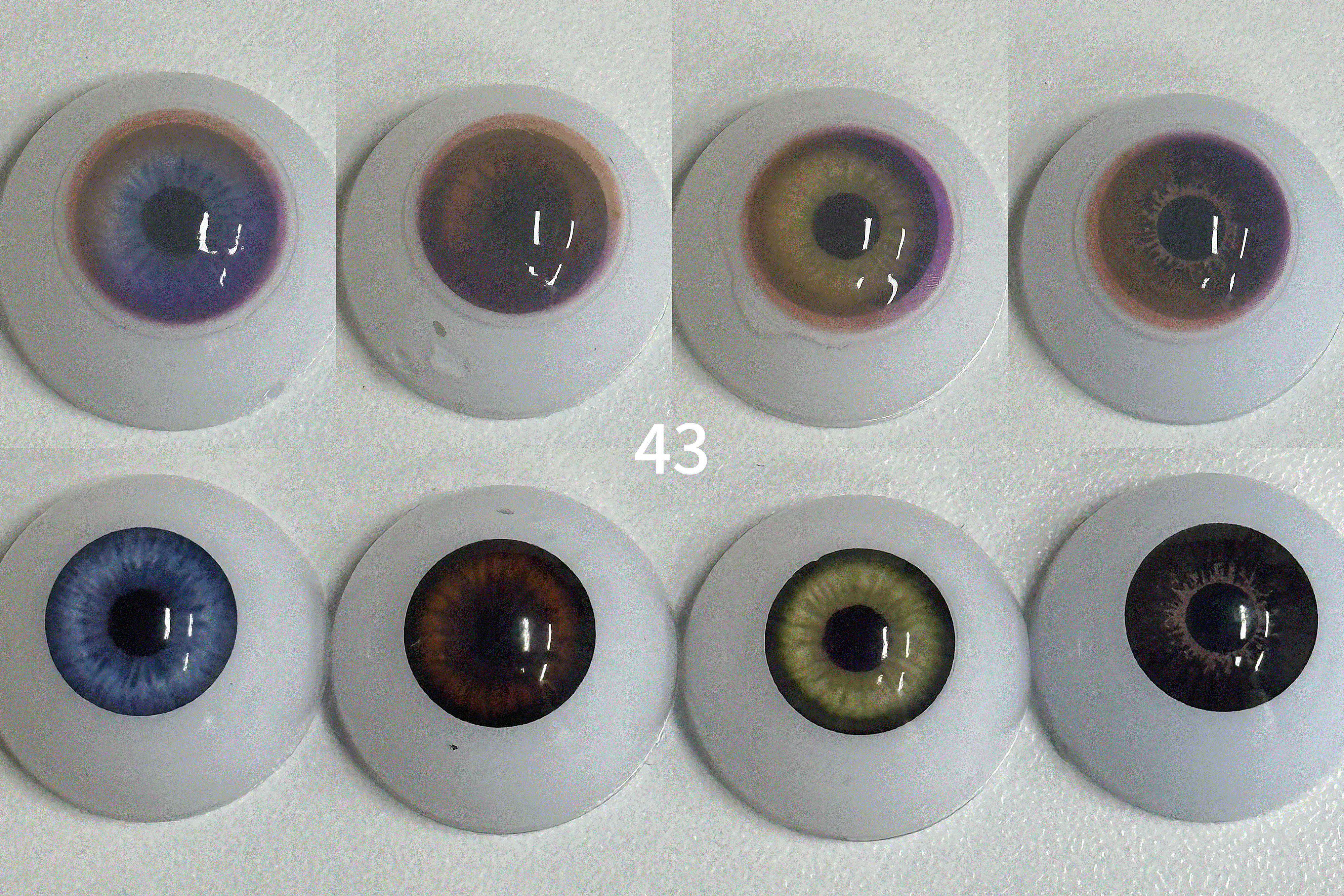 Rainbow Neon Brown （43）| 1 Year