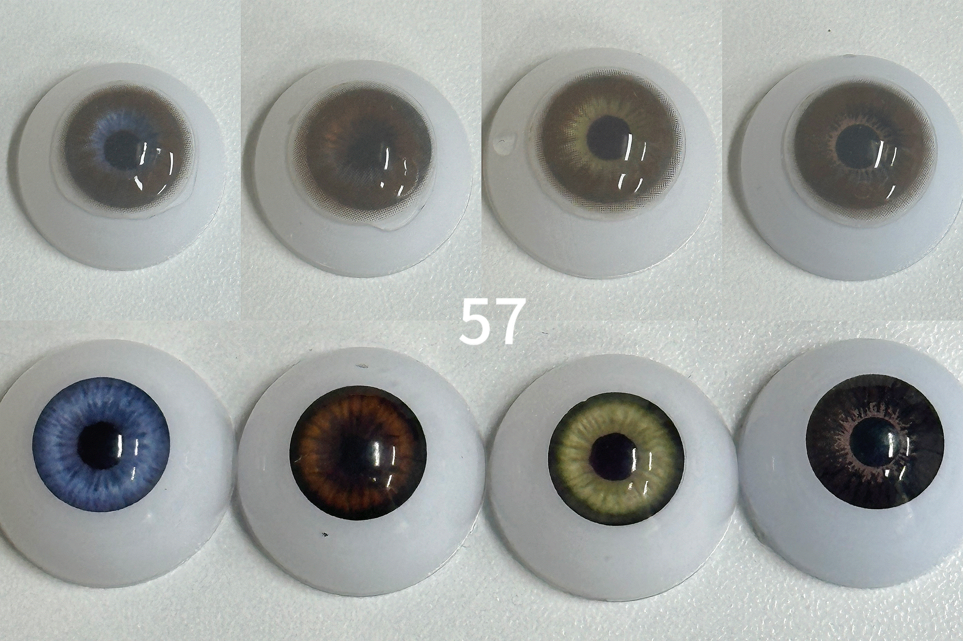 Glacier Brown (57)| 1 Year