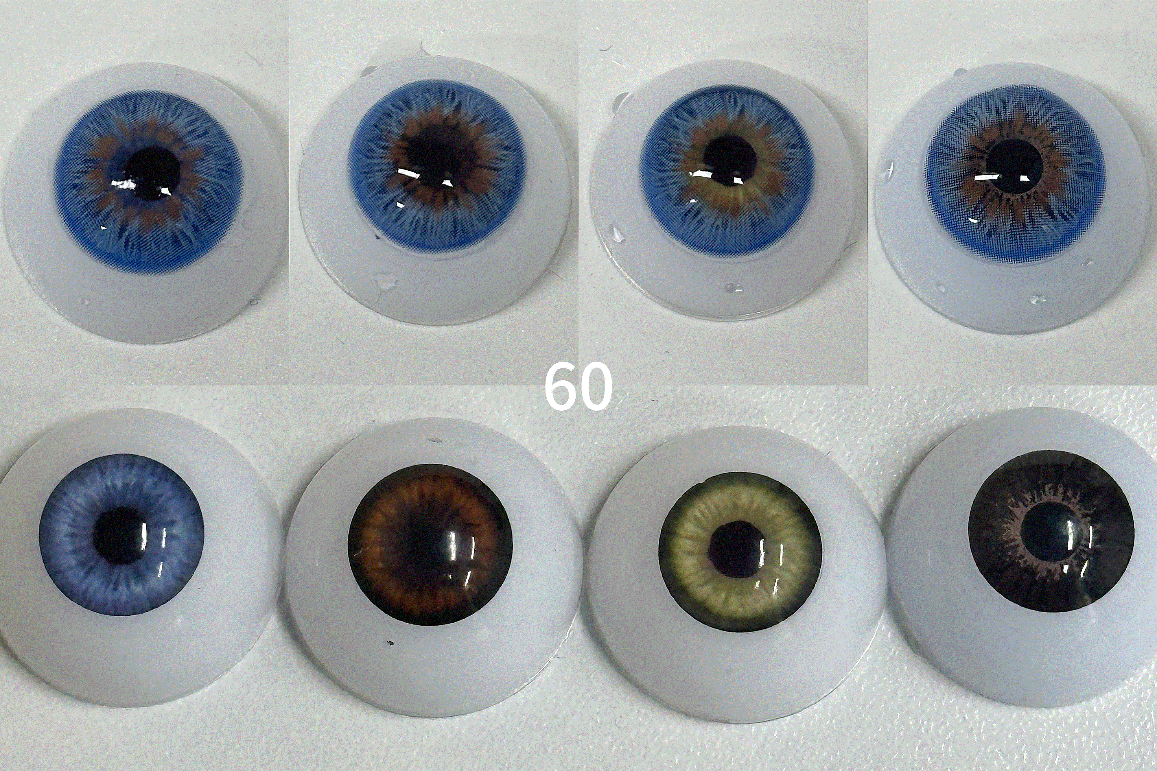 Wildness Peacock Blue[60] | 1 Year