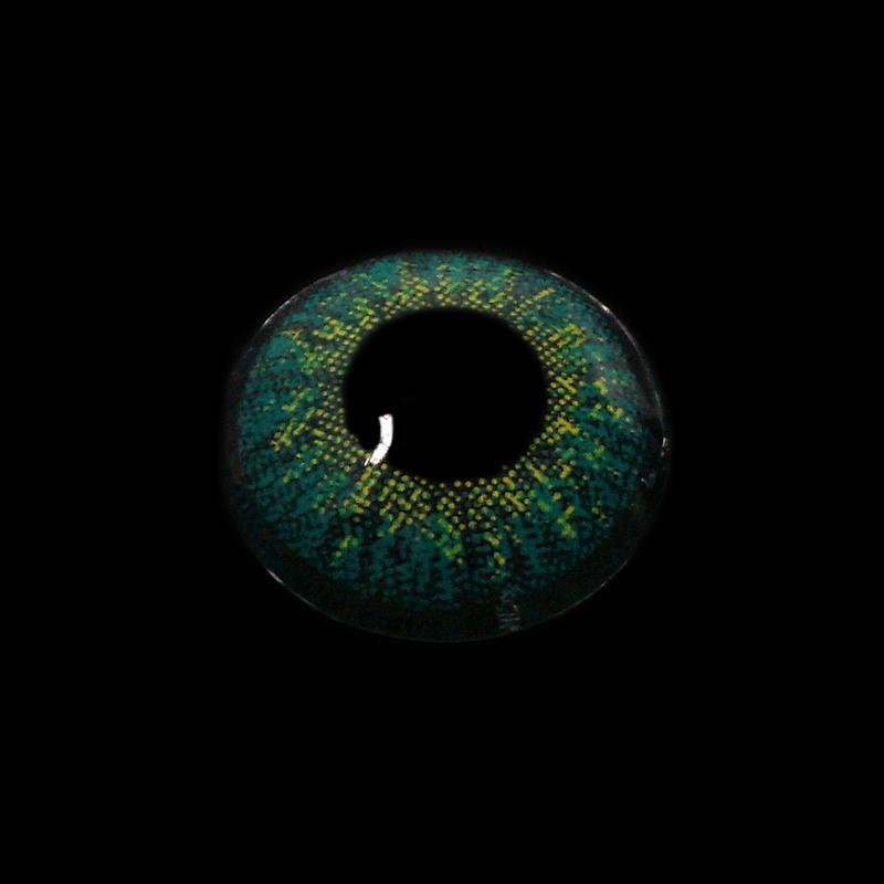 Three Tone Kallaite Turquoise | 1 Year