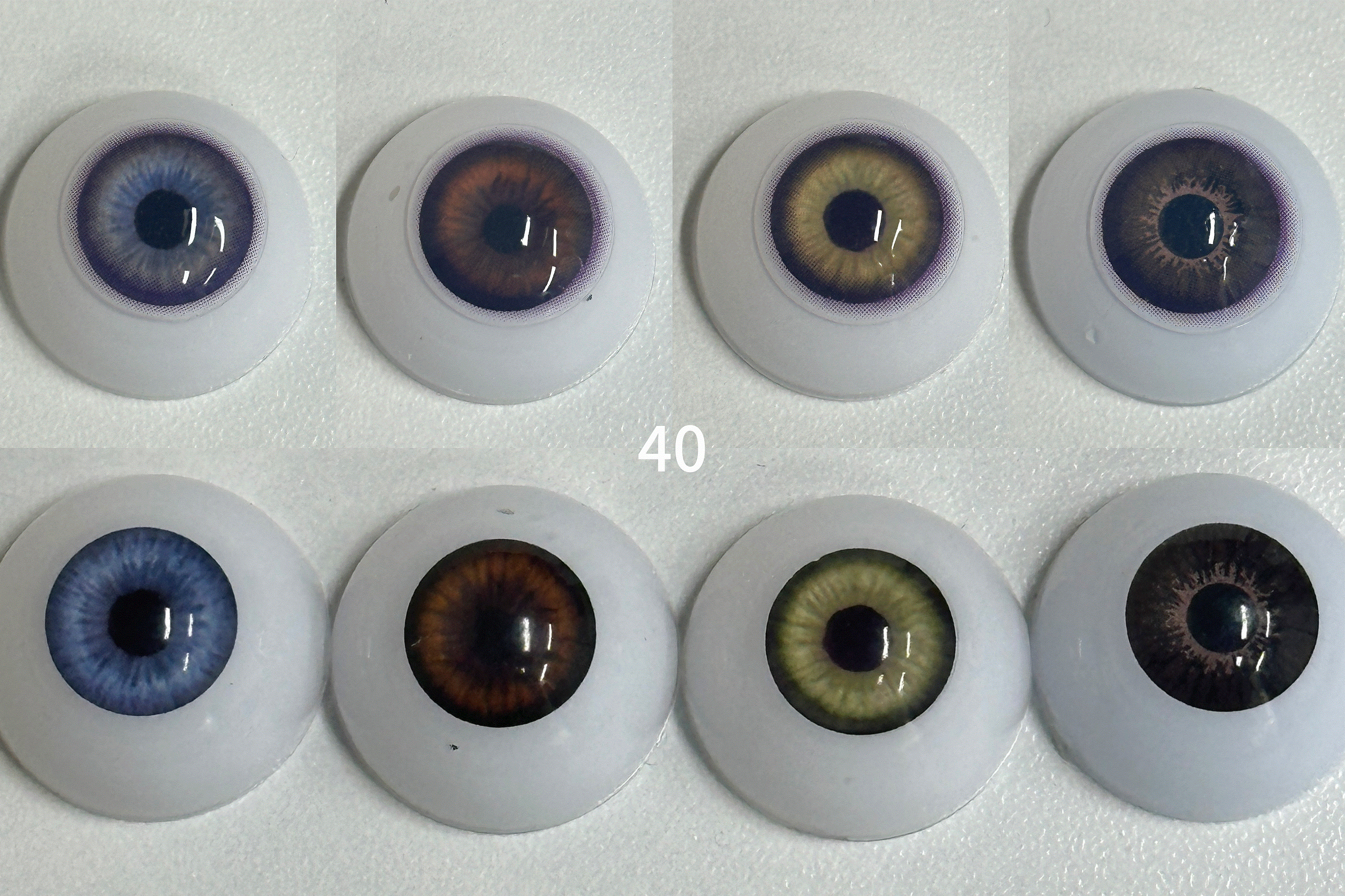 [New] Havana Purple(040) | 1 Year