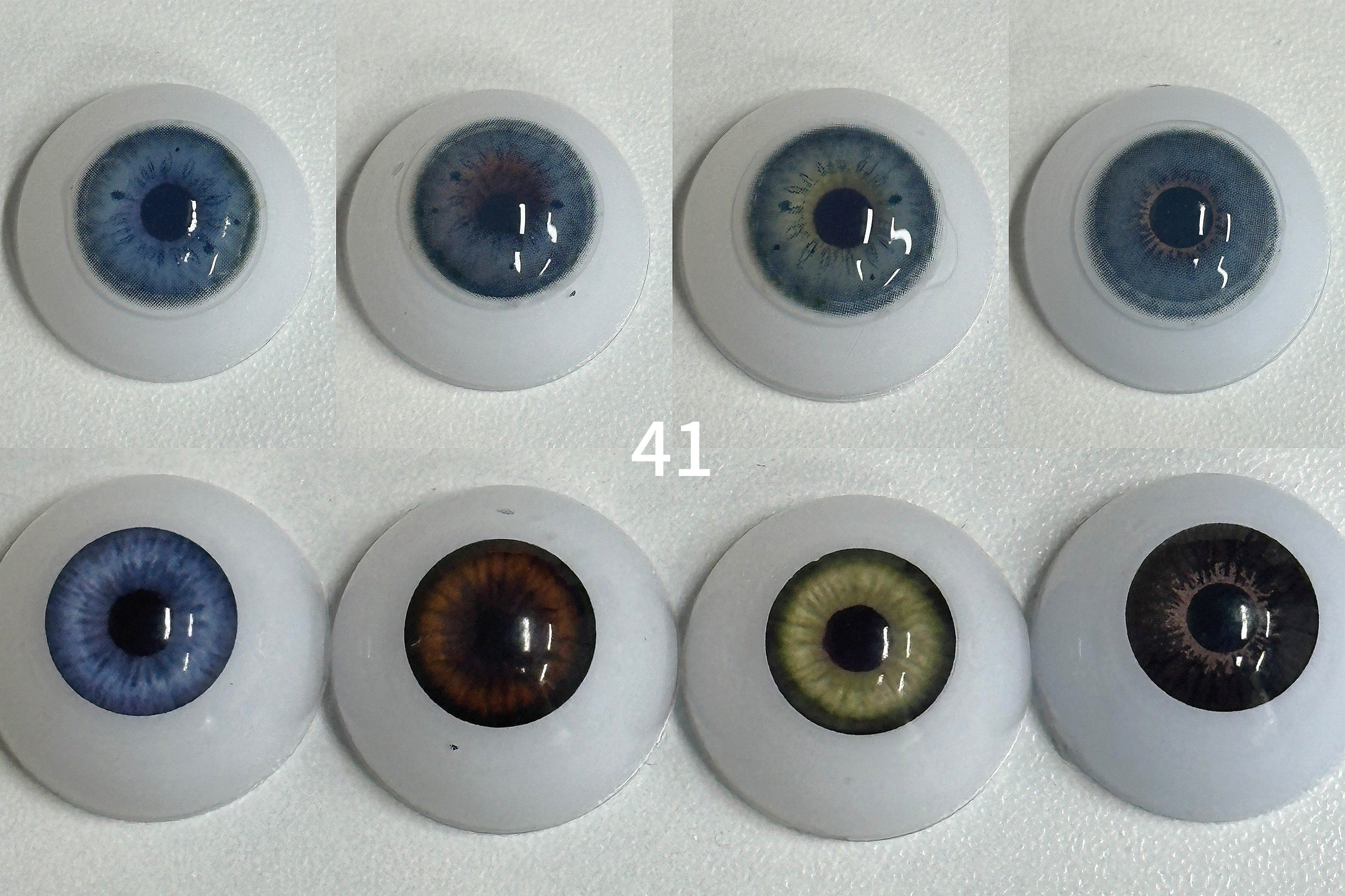 HC Blue (041)| 1 Year