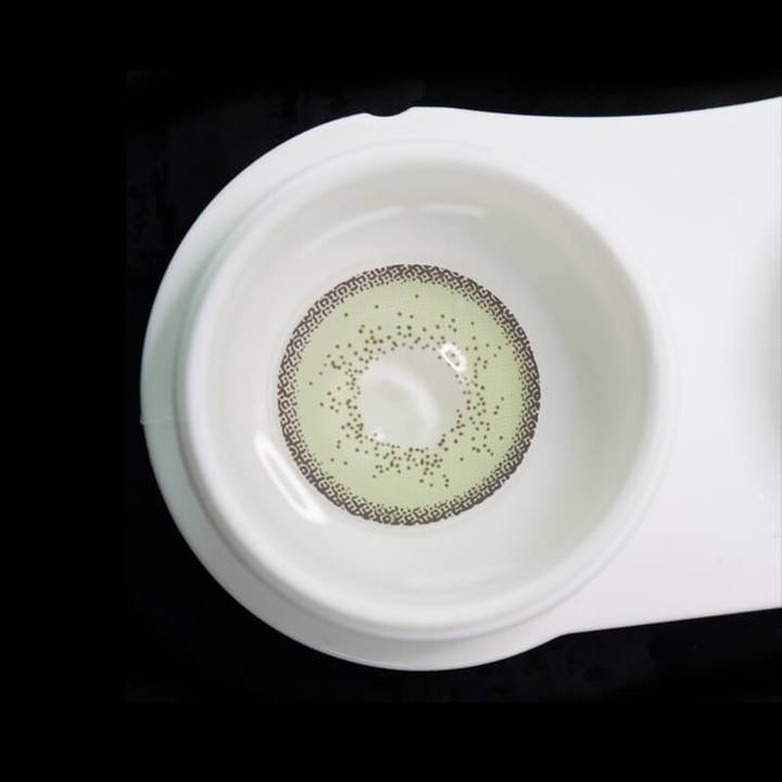 Olivia Moss | 1 Year