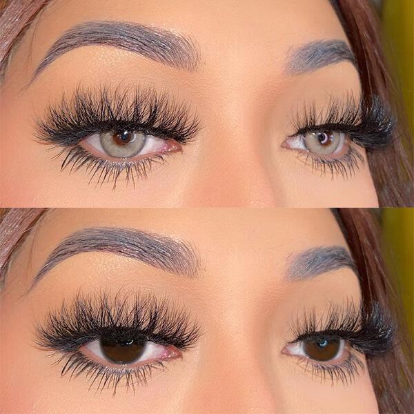 Sorayama Gray | 1 Year