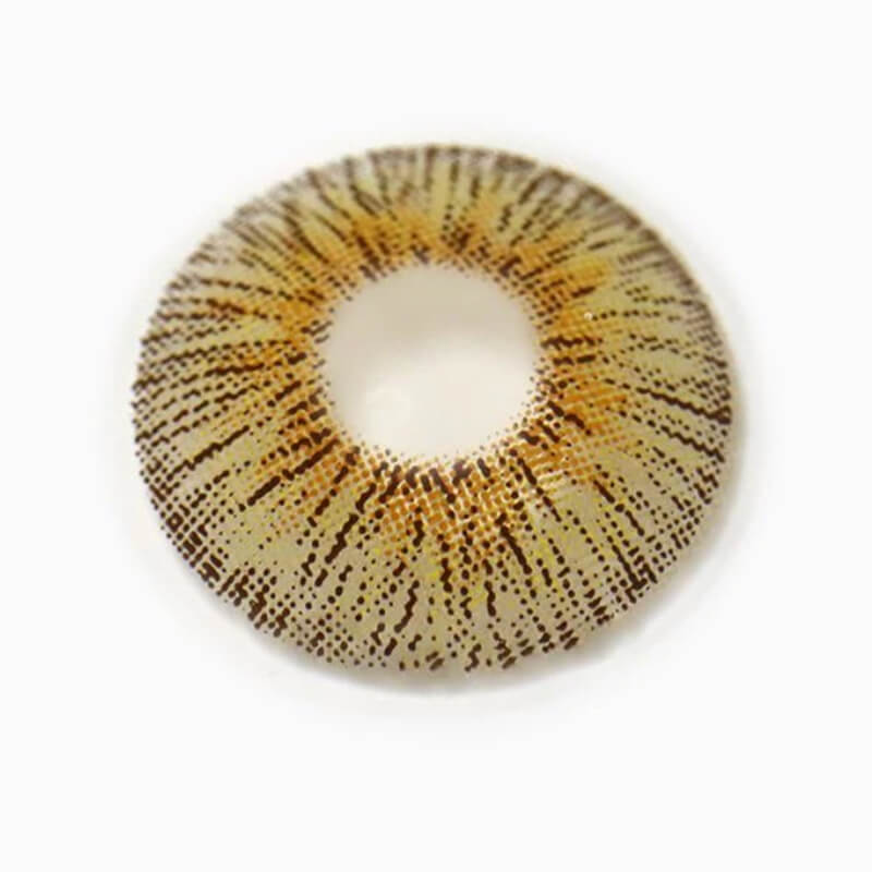 Retro Panama | 1 Year