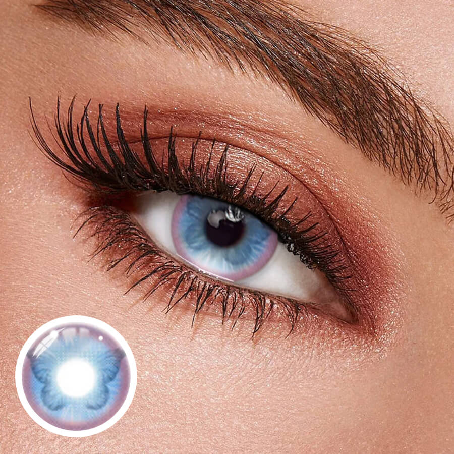 [New] Papillion Blue |  1 Year