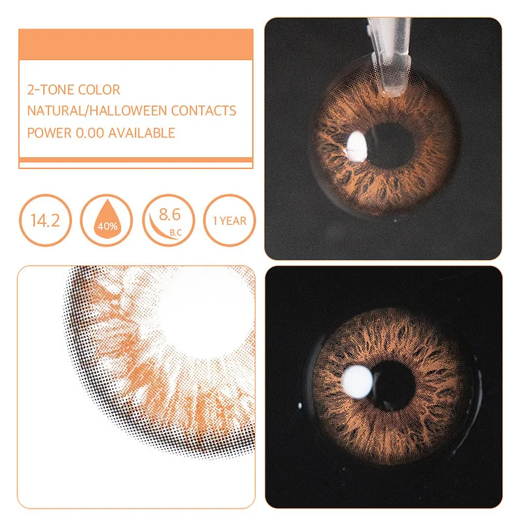 Rococo Love Letter Brown | 1 Year