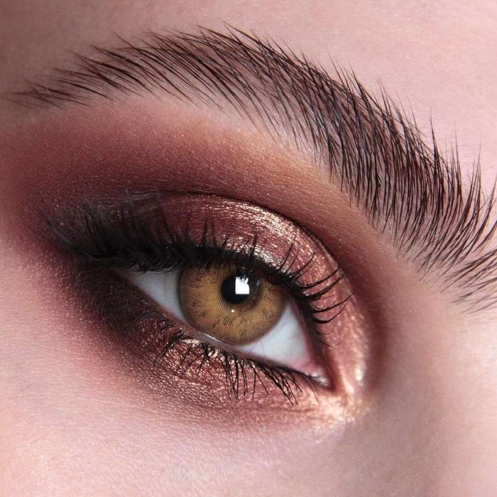 Russia Brown | 1 Year [Prescription]