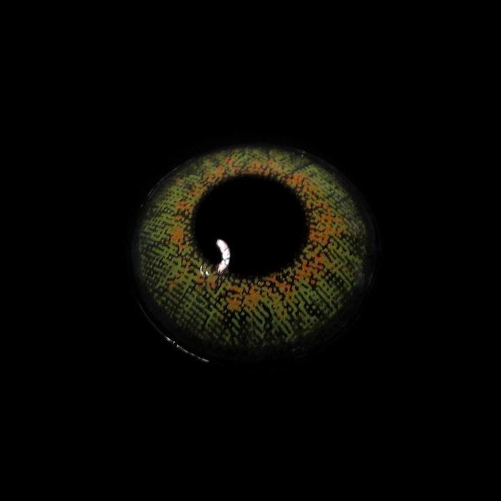 Three Tone Green | 1 Year [Prescription]